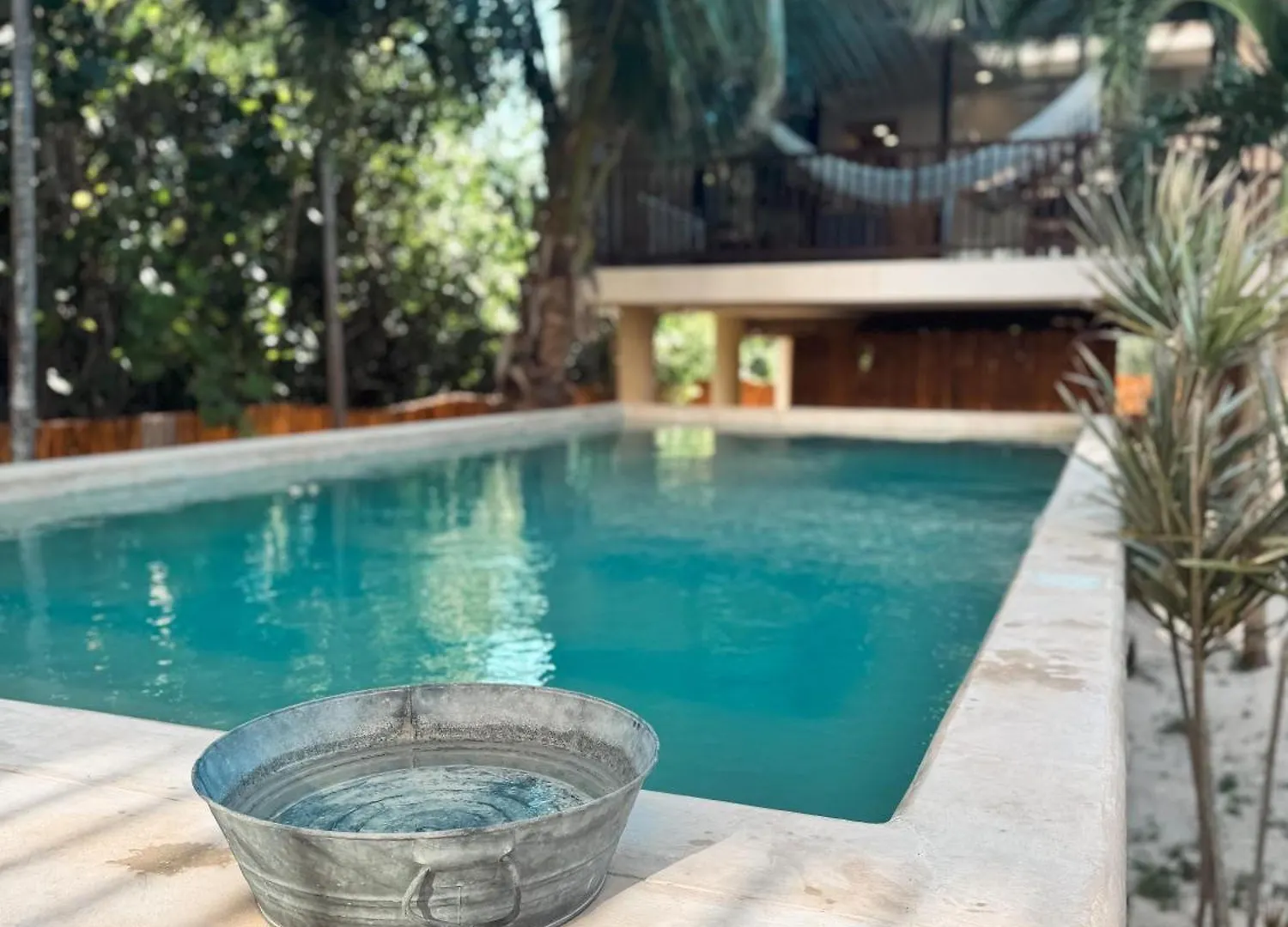 Sunset 2Br Apartment Steps From The Beach With Ocean View Isla Holbox